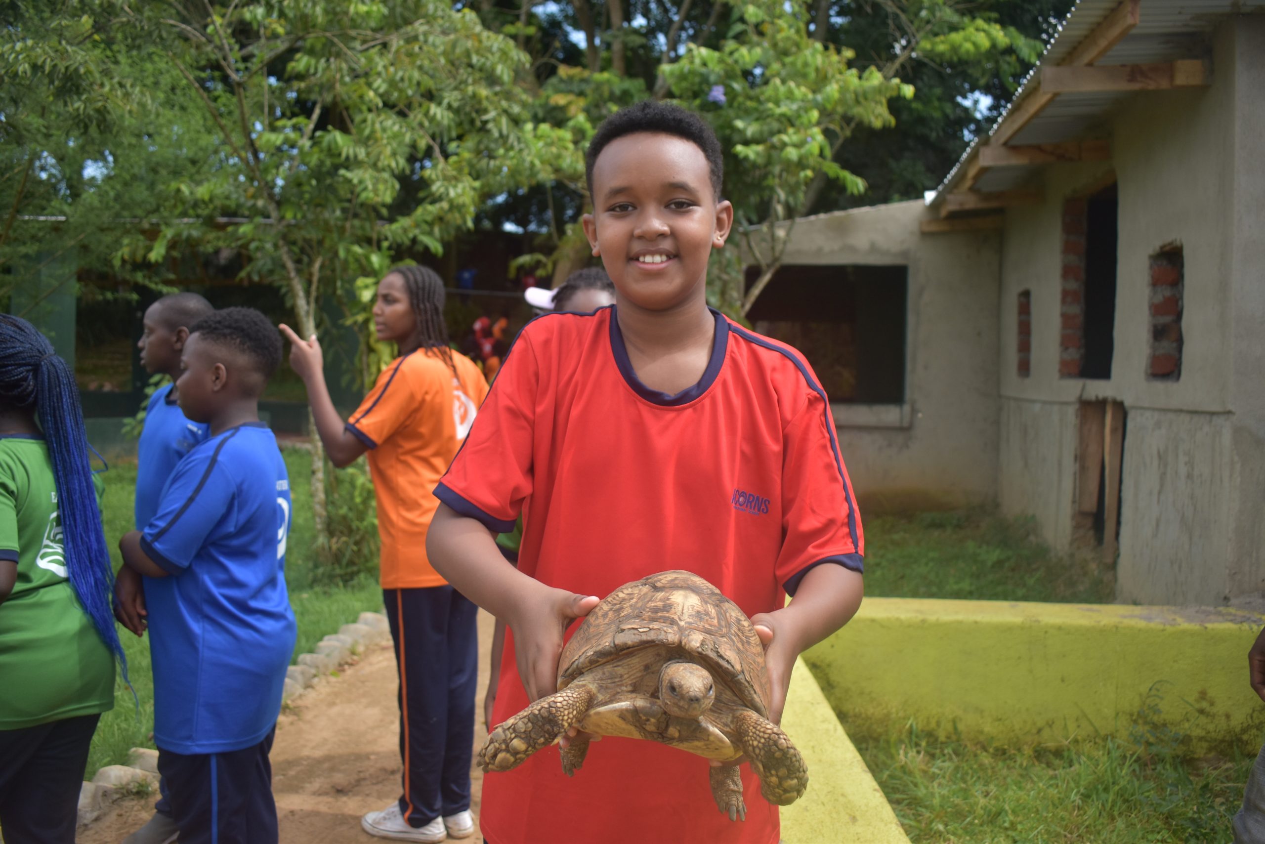 Newsletter Mid-Term 2 2026