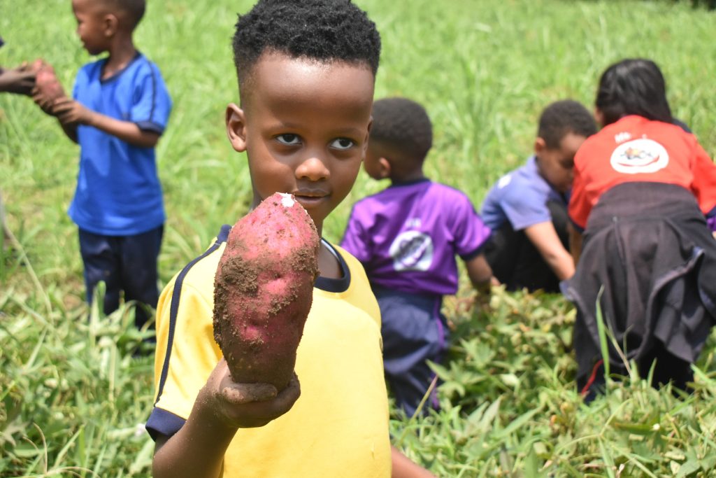 Newsletter End of Term 2 2026